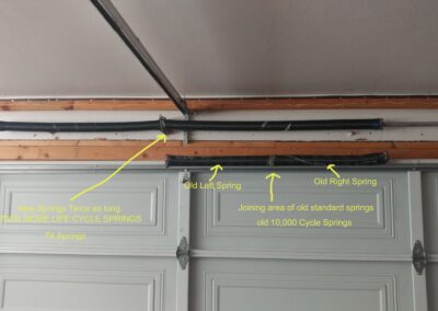 700 % increase of lifespan